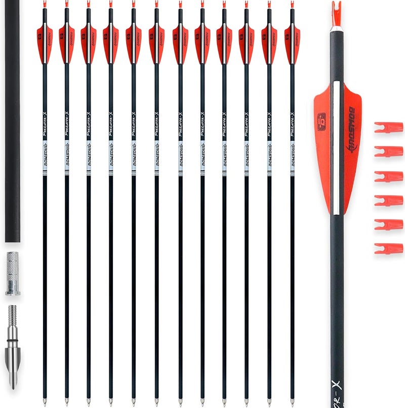 BOWSOUL 31Inch Carbon Arrows for Target Practice Hunting Arrow with Removable Tips for Compound & Recurve Bow(Pack of 12) - Image 1